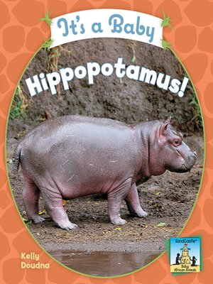 cover image of It's a Baby Hippopotamus!